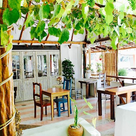 Posada Amor Hotel Boutique Puerto Morelos Kültér fotó
