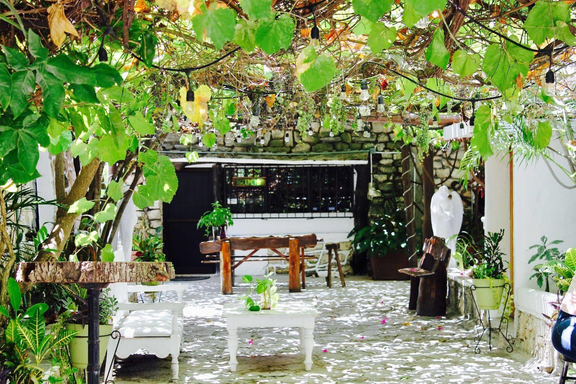 Posada Amor Hotel Boutique Puerto Morelos Kültér fotó